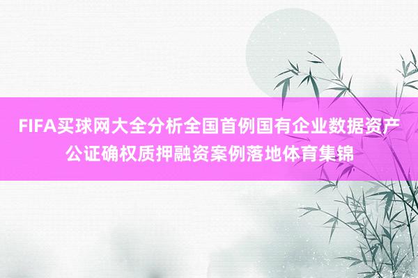 FIFA买球网大全分析全国首例国有企业数据资产公证确权质押融资案例落地体育集锦