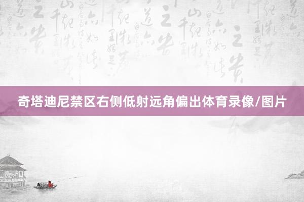 奇塔迪尼禁区右侧低射远角偏出体育录像/图片